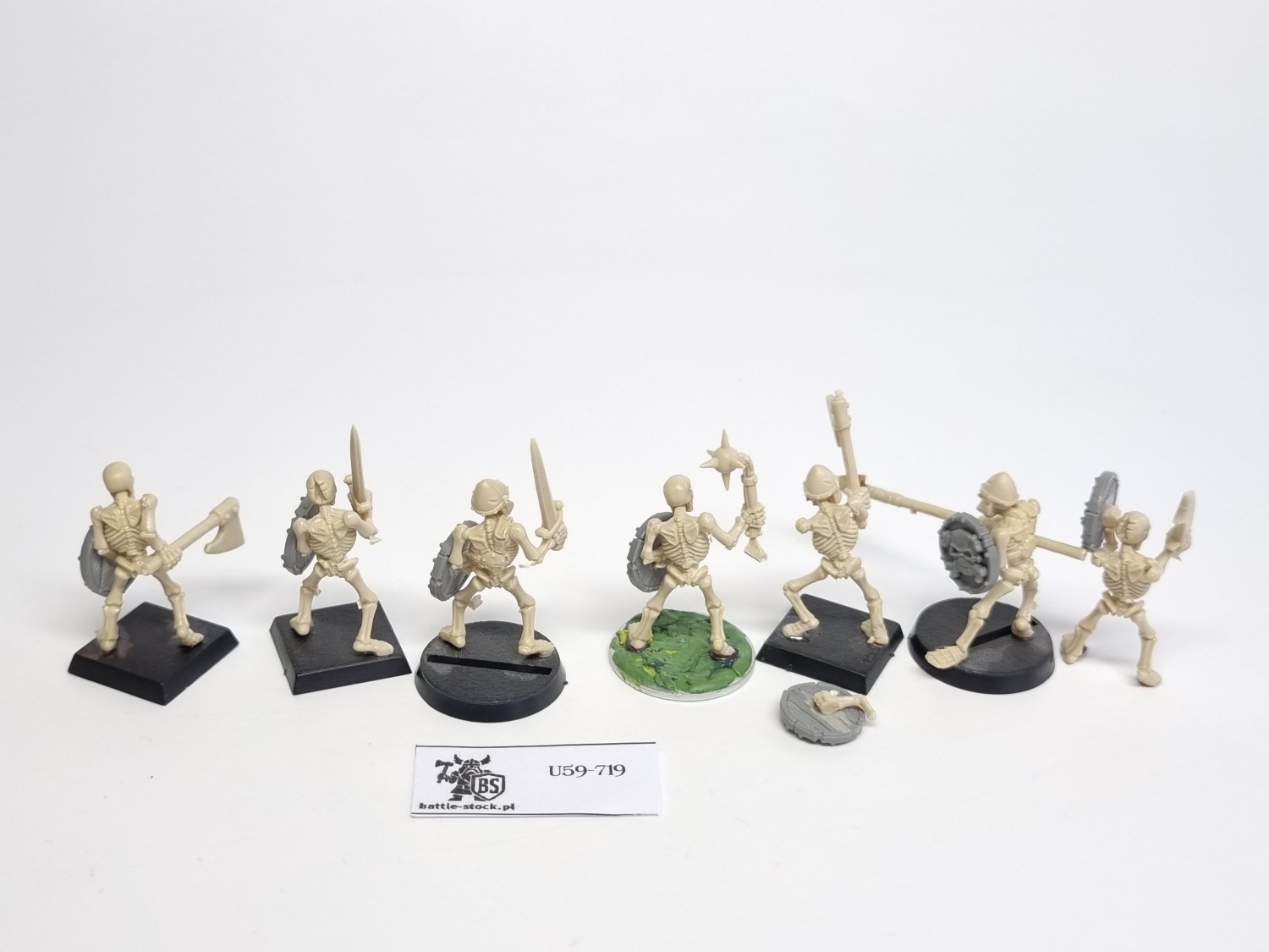 WFB zestaw 7 szkieletów P