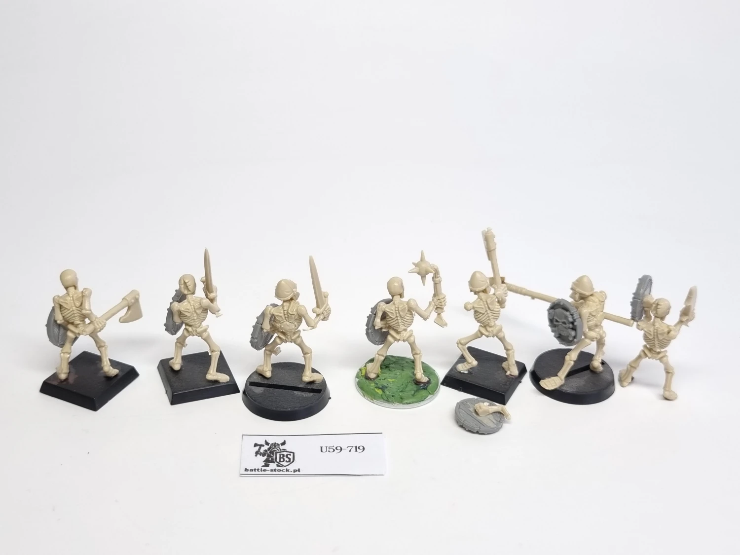 WFB zestaw 7 szkieletów P