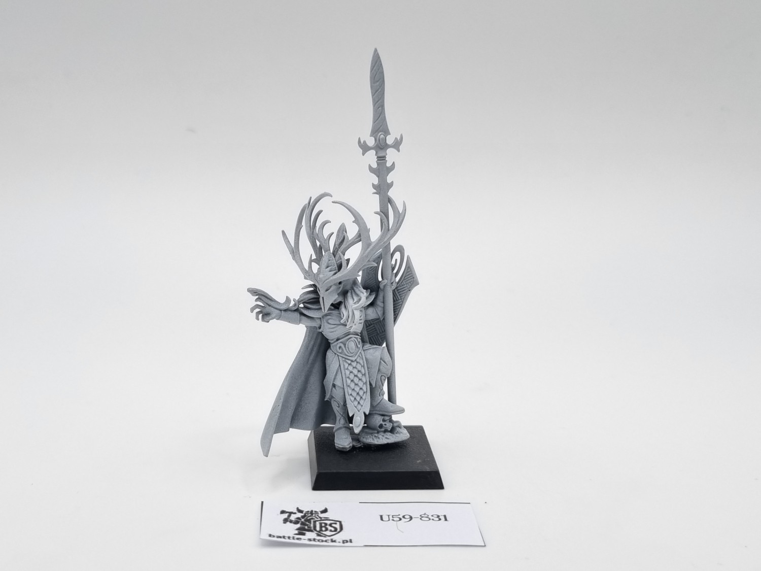 WFB araloth (brak ptaka)