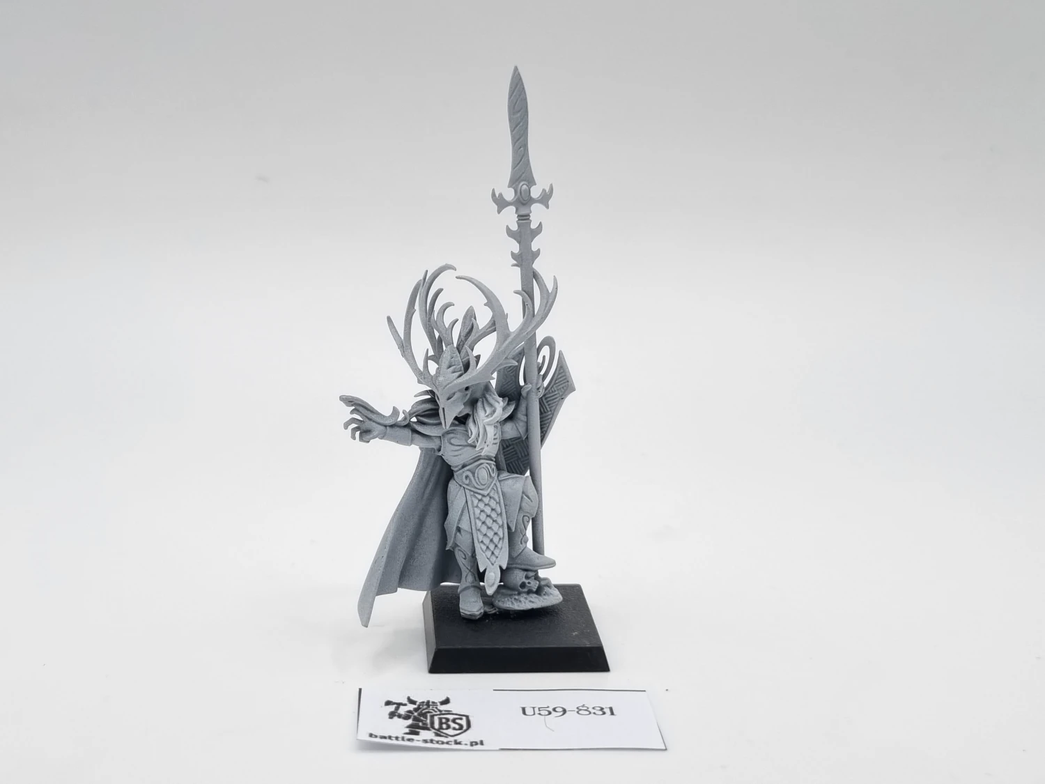 WFB araloth (brak ptaka)