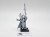 WFB araloth (brak ptaka)