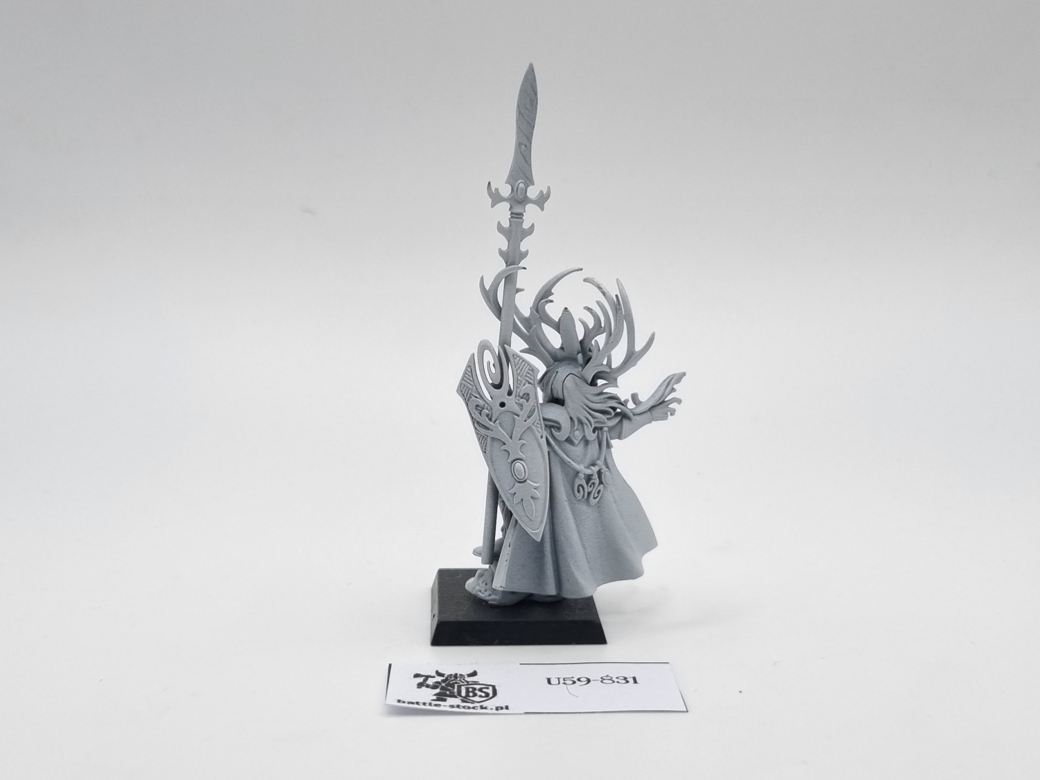 WFB araloth (brak ptaka)