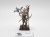 WFB dryad P