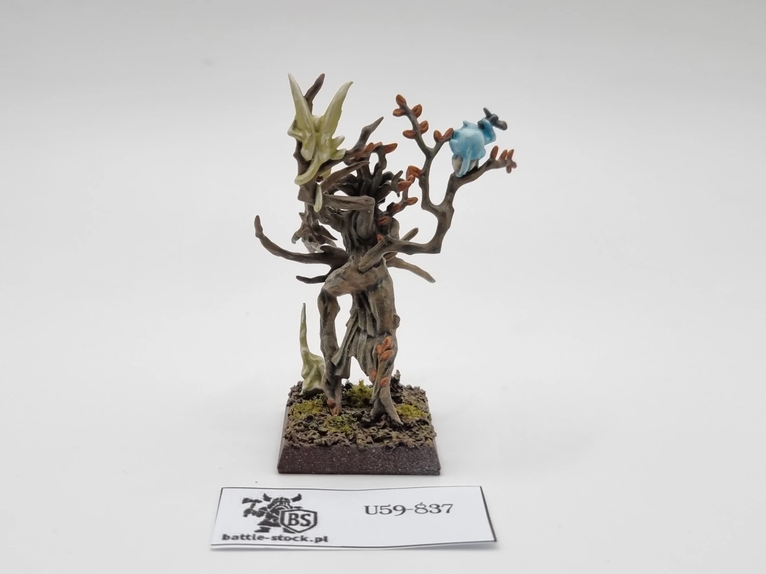 WFB dryad P