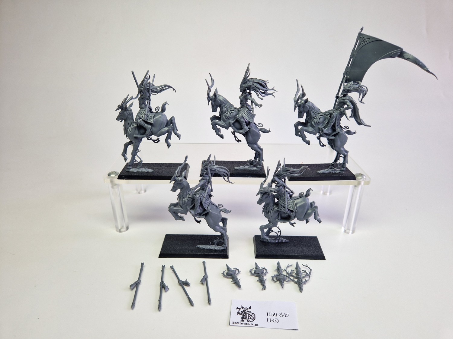 WFB sisters of the thorn