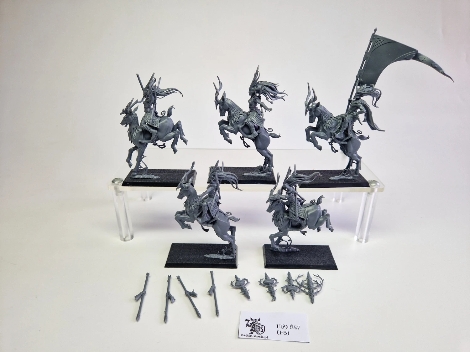 WFB sisters of the thorn