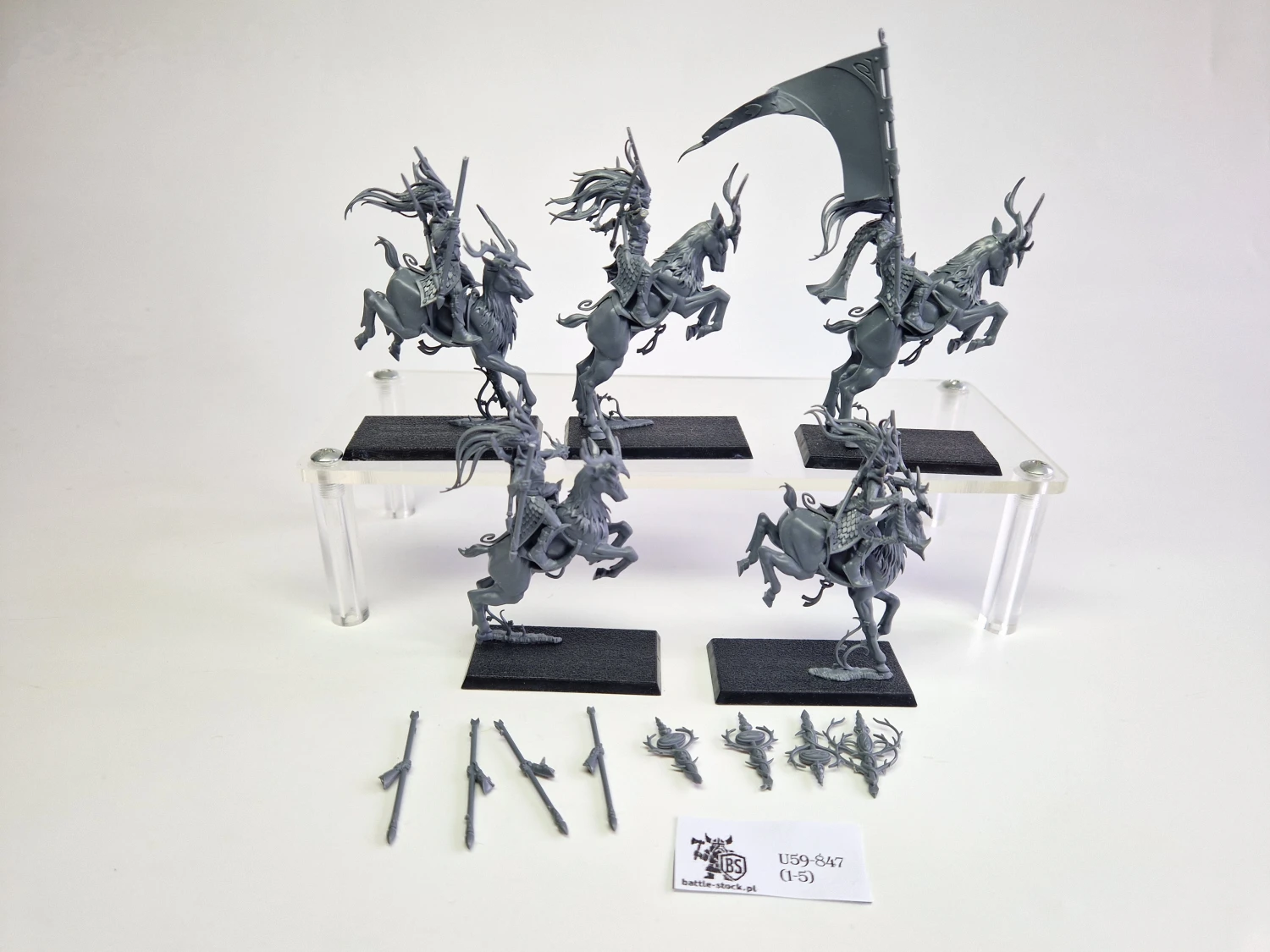 WFB sisters of the thorn