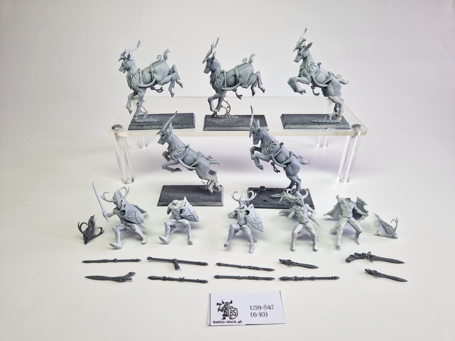 WFB wild riders (braki w uzbrojeniu)