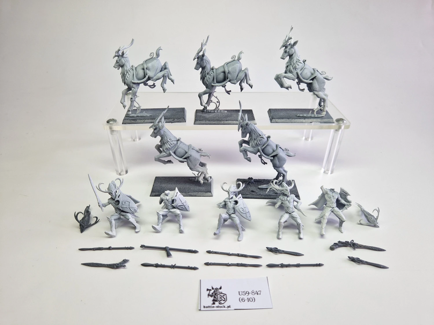 WFB wild riders (braki w uzbrojeniu)