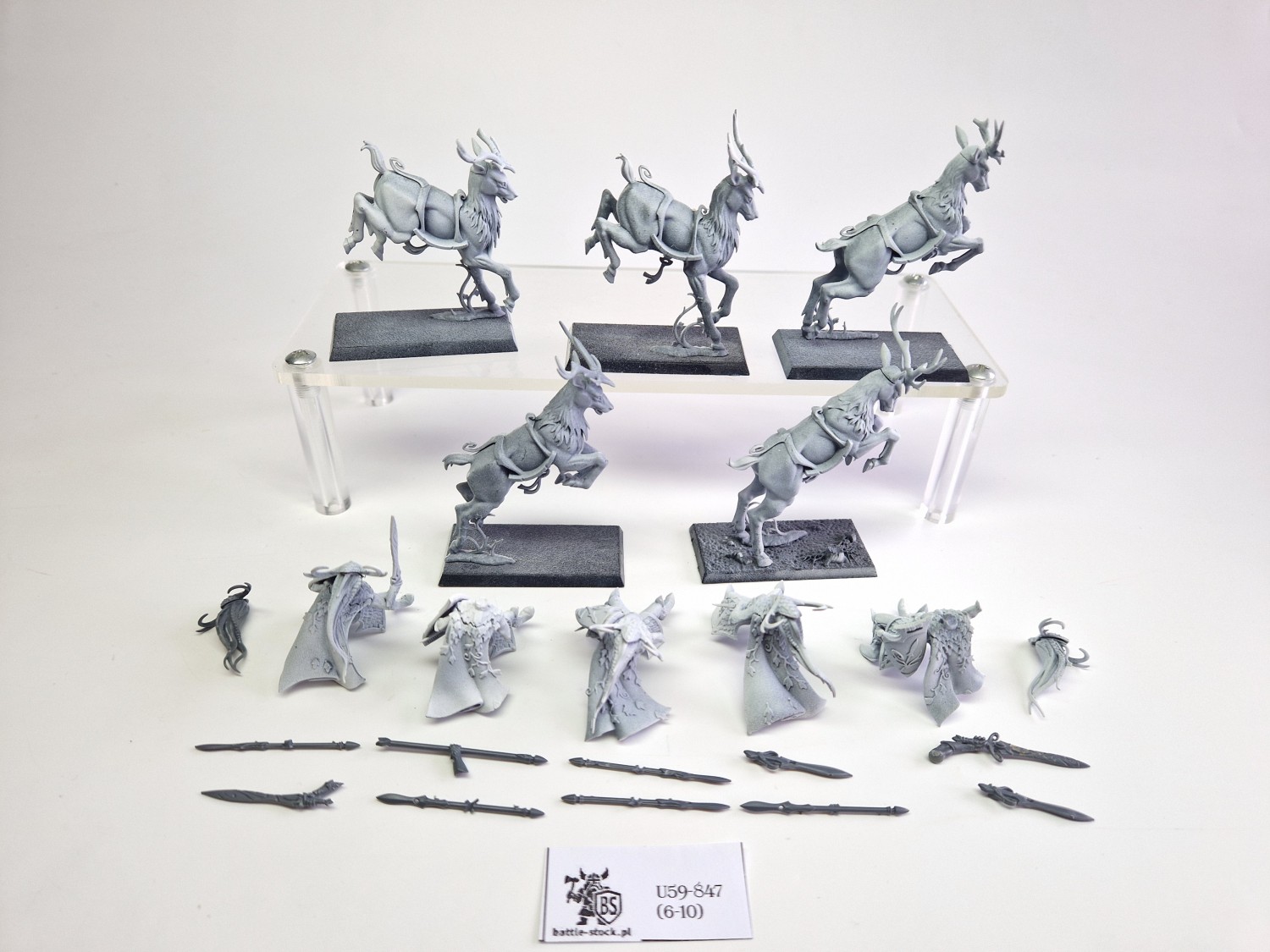 WFB wild riders (braki w uzbrojeniu)