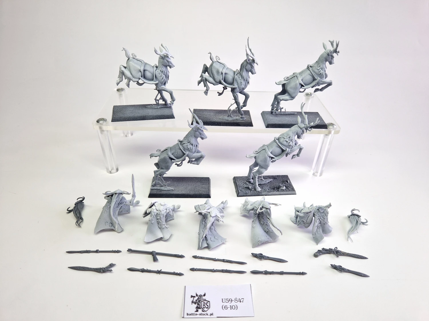 WFB wild riders (braki w uzbrojeniu)