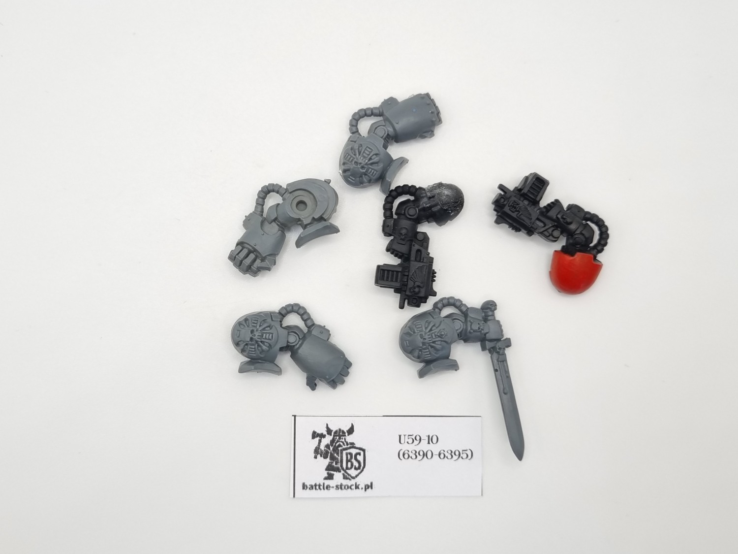 bitsy bronie terminators