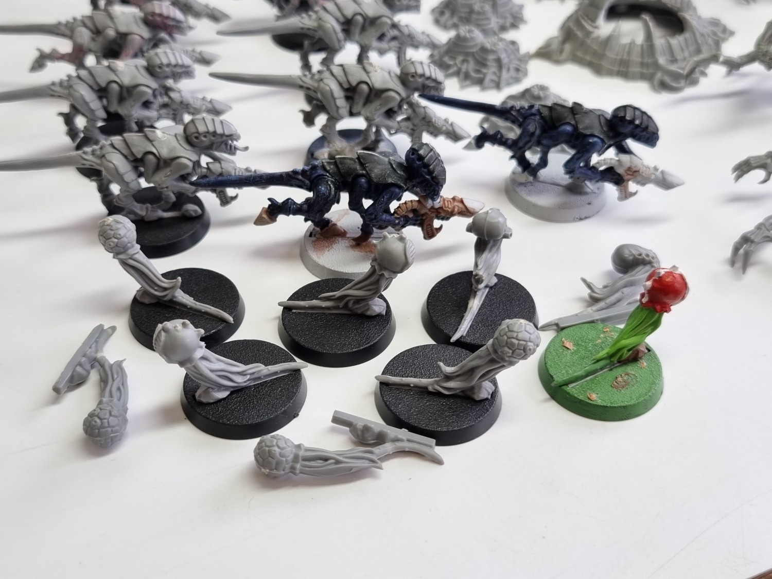 40k macragge tyranids