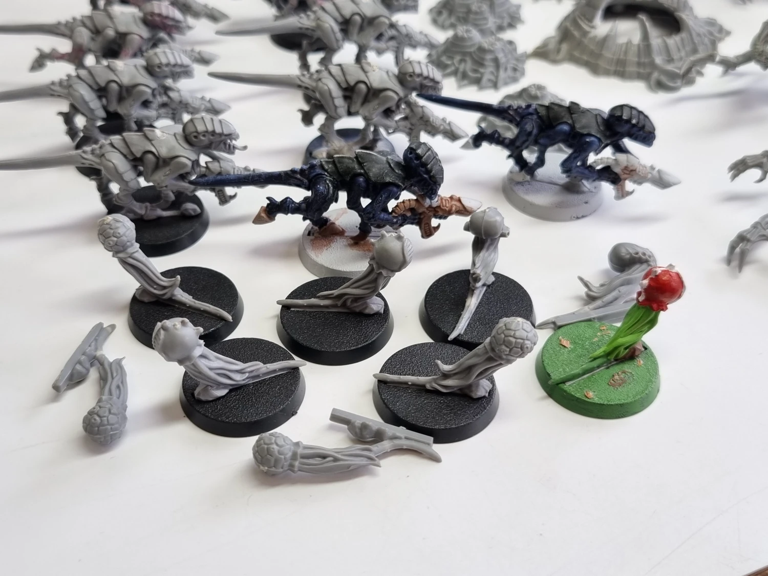 40k macragge tyranids