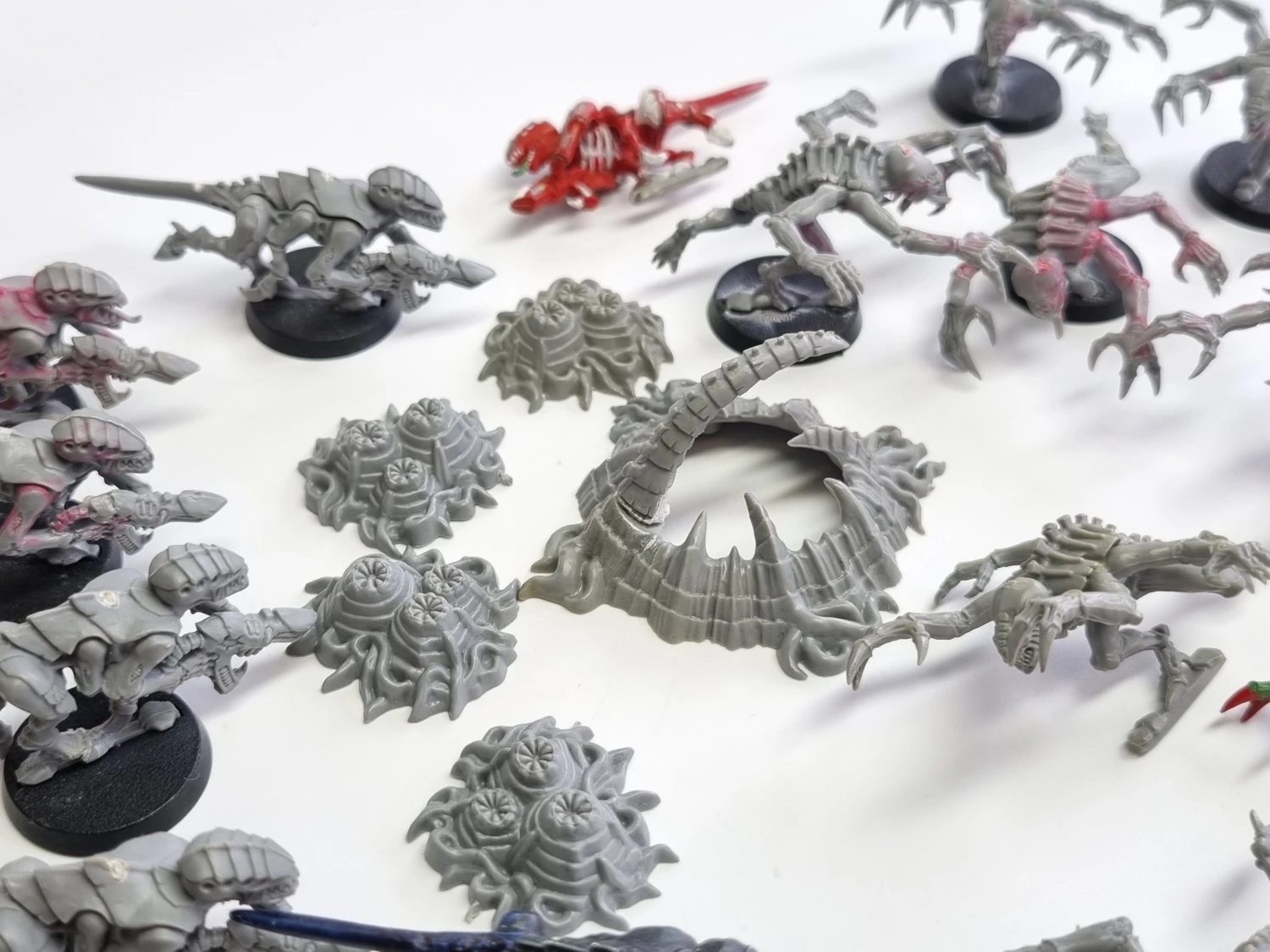 40k macragge tyranids