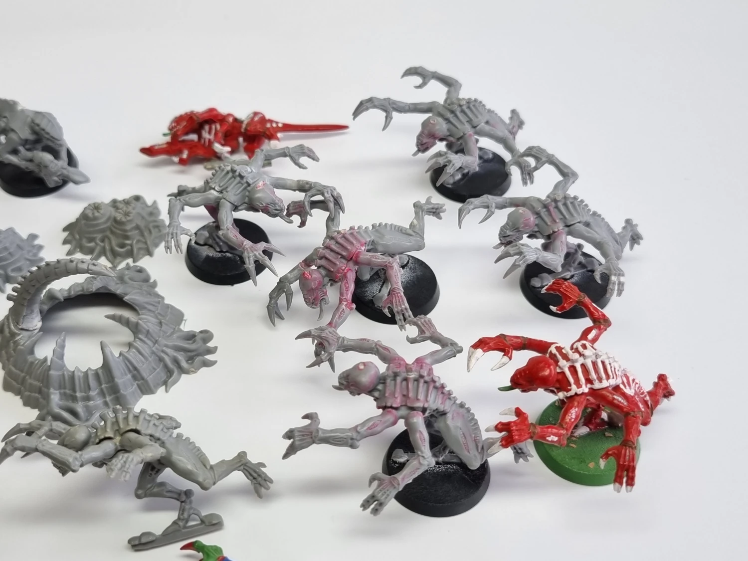 40k macragge tyranids