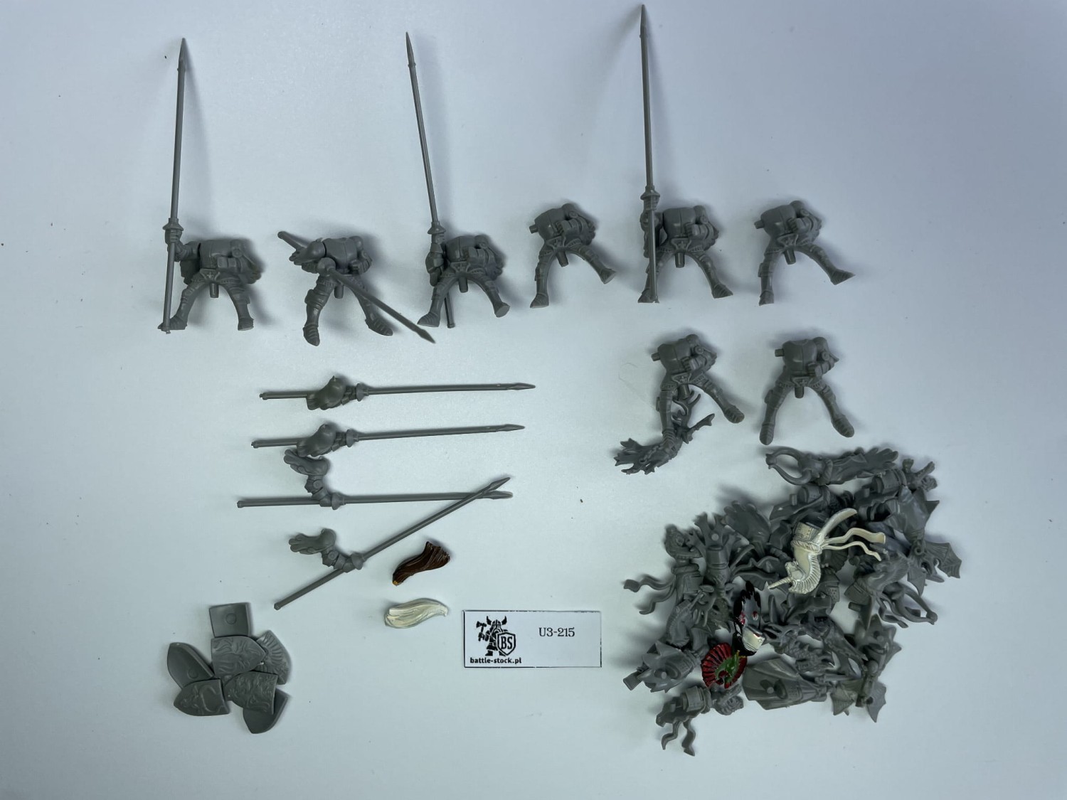 WFB box plastik Starter 5ed- wersja niemieckojęzyczna