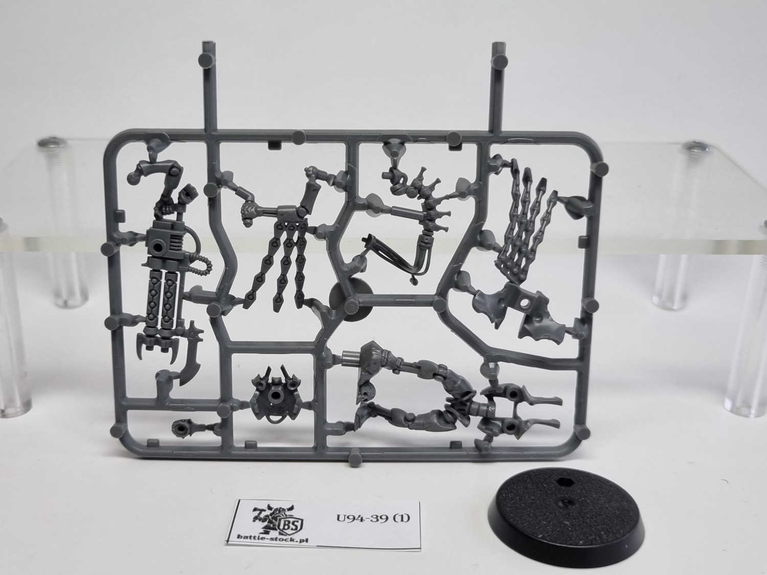 40k Royal warden