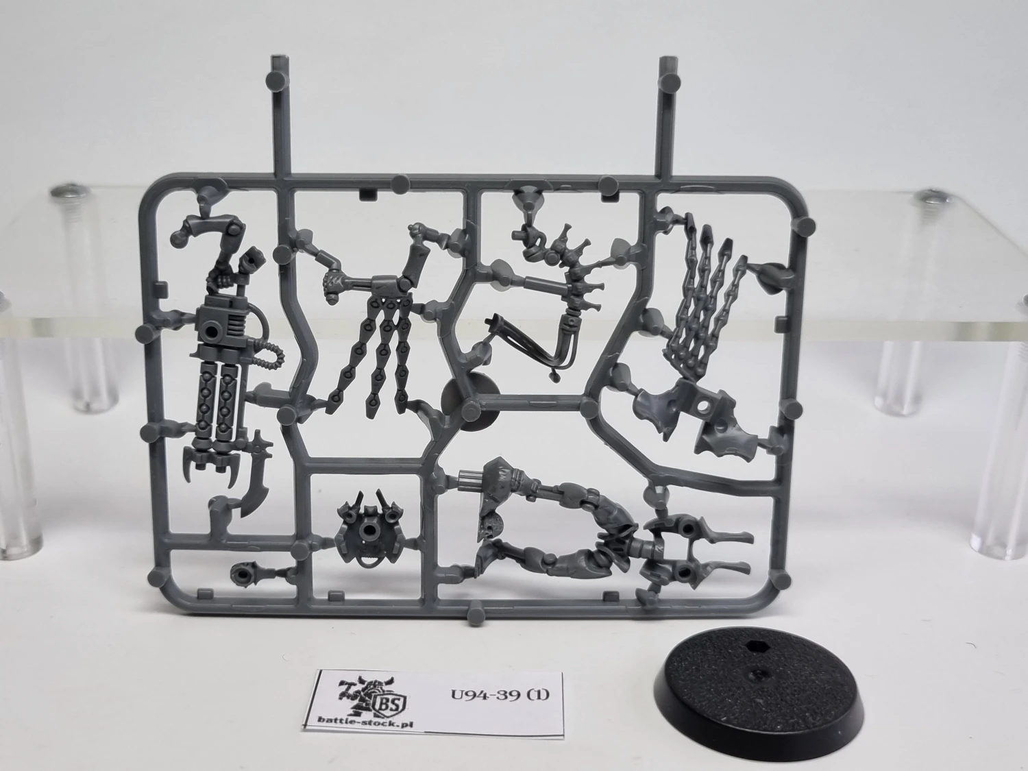 40k Royal warden