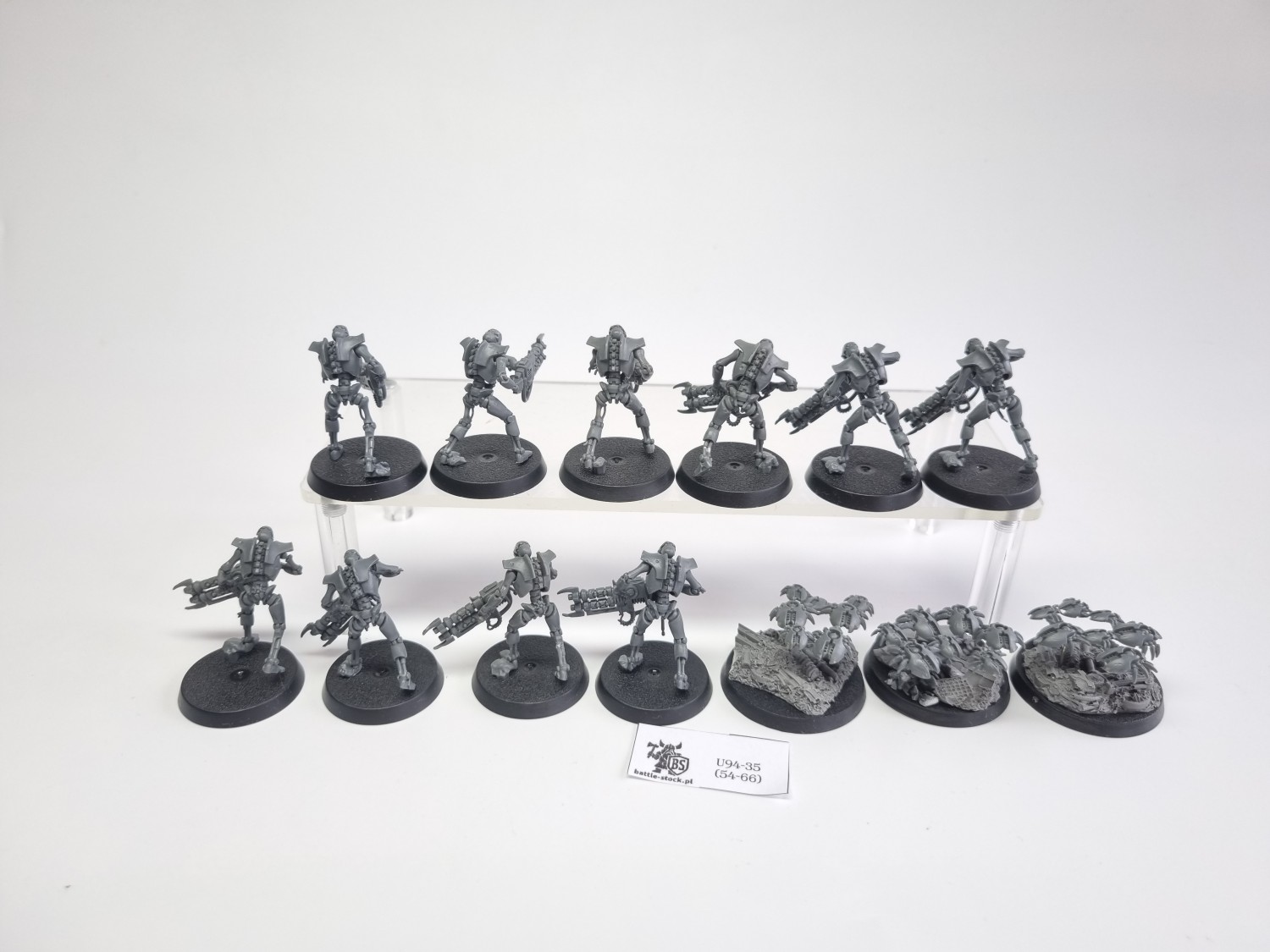 necron warriors / scarabs
