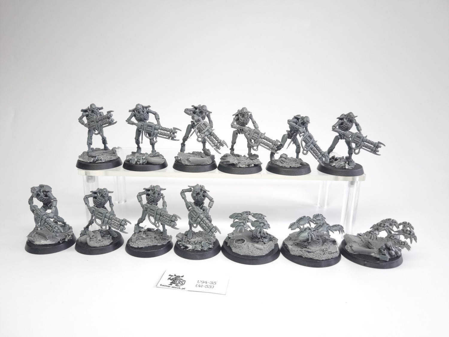 necron warriors / scarabs
