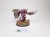 40k Daemon Prince of nurgle konwersja TT+