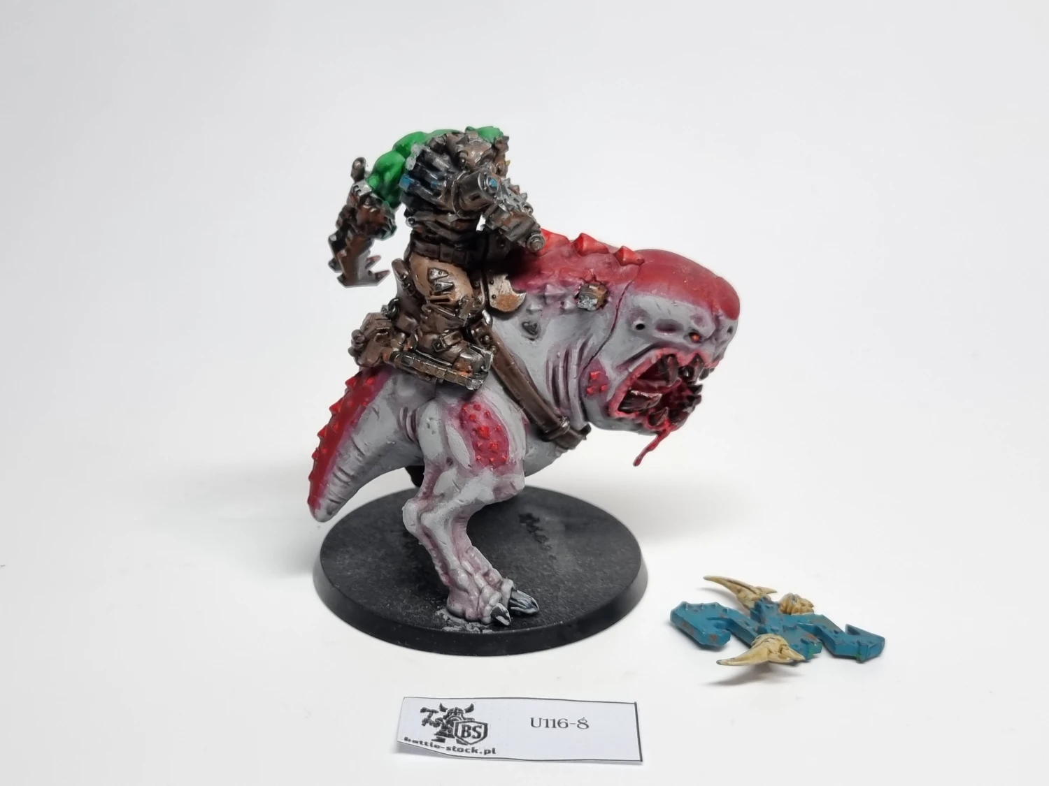 40k mozrog