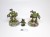 40k kastelan robots zestaw