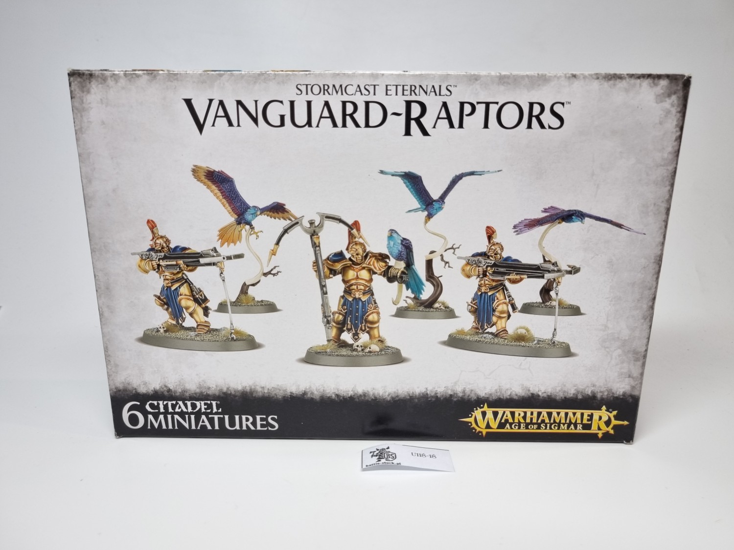 vanguard-raptors