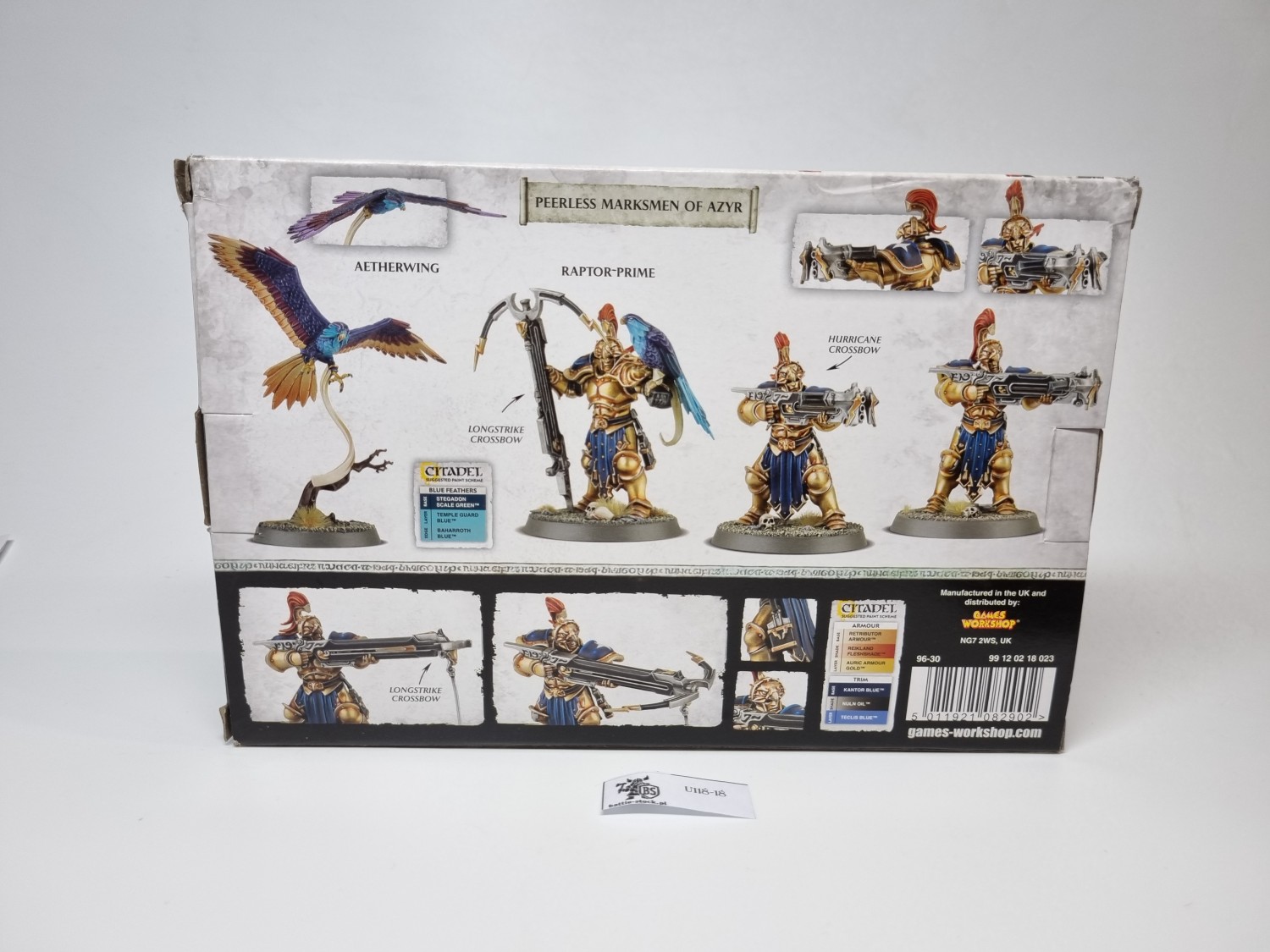 vanguard-raptors