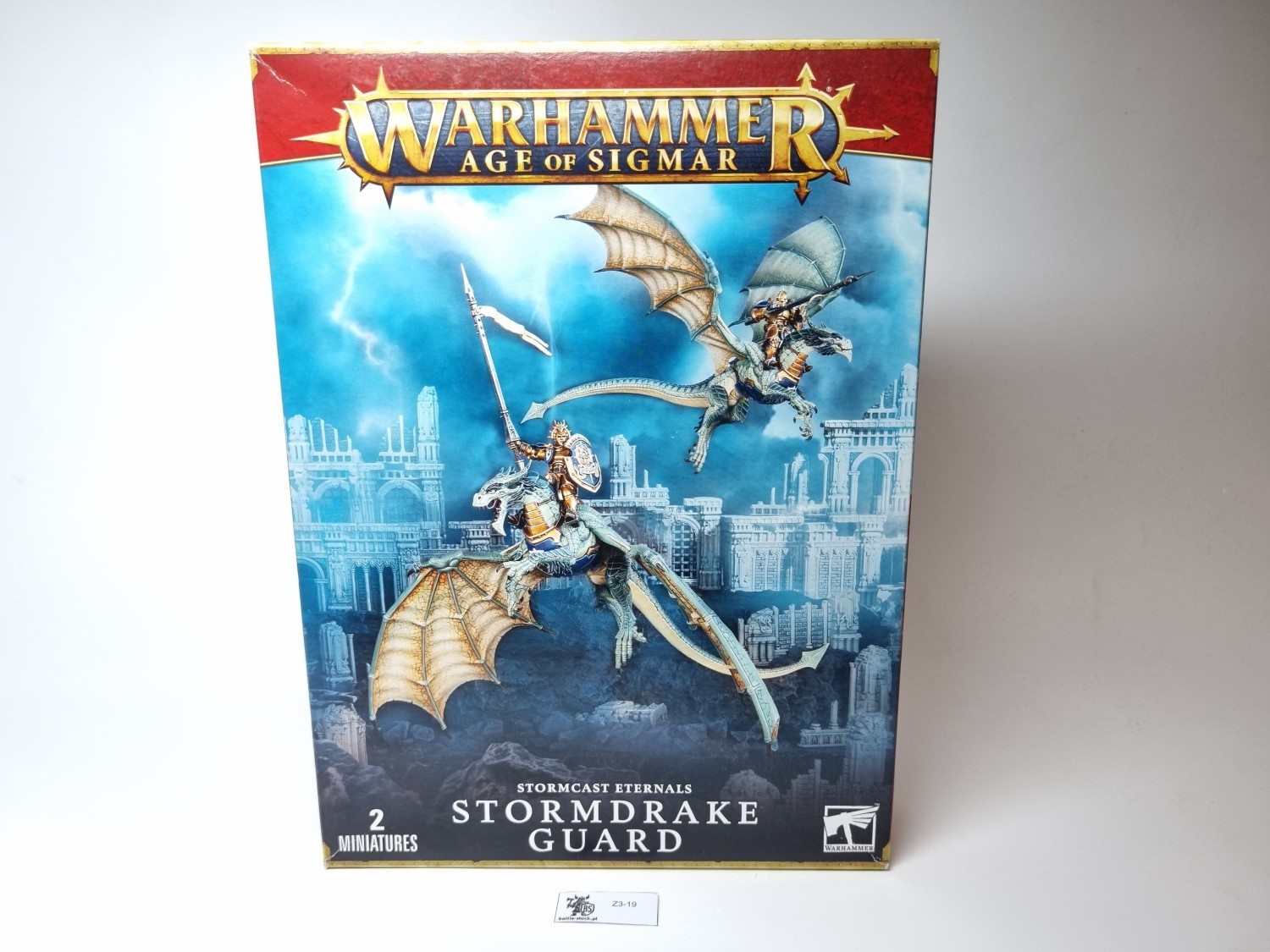 Stormdrake guard