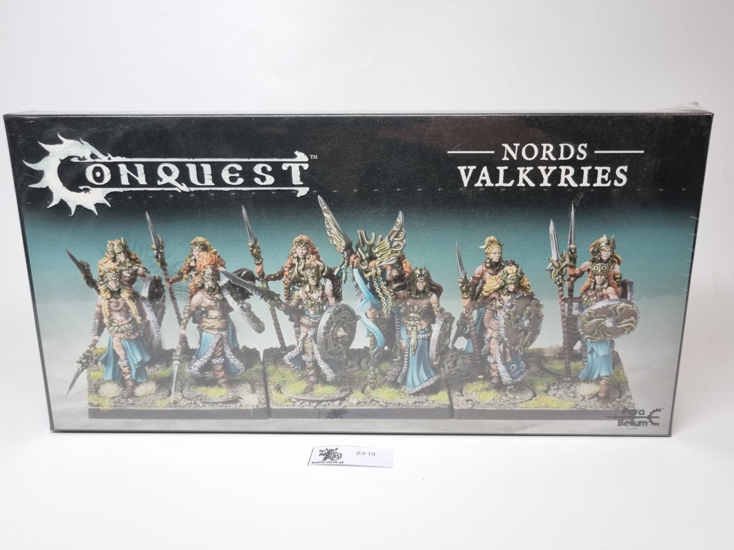 Conquest Nords Valkyries