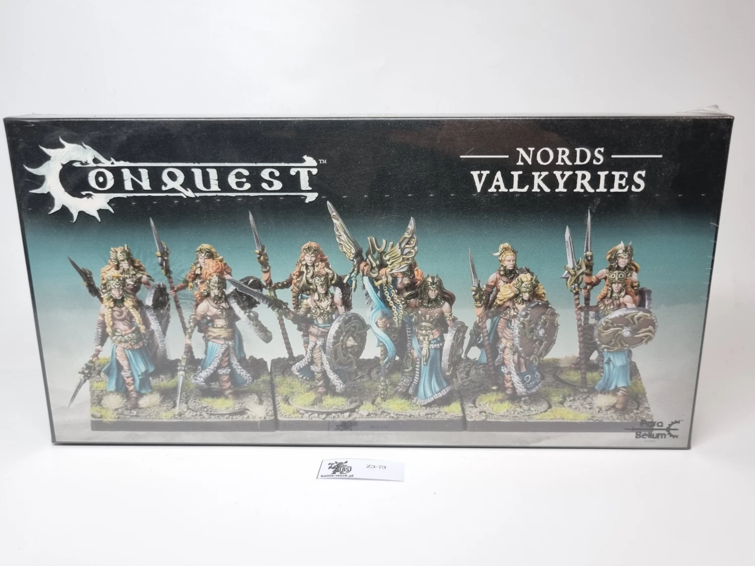 Conquest Nords Valkyries