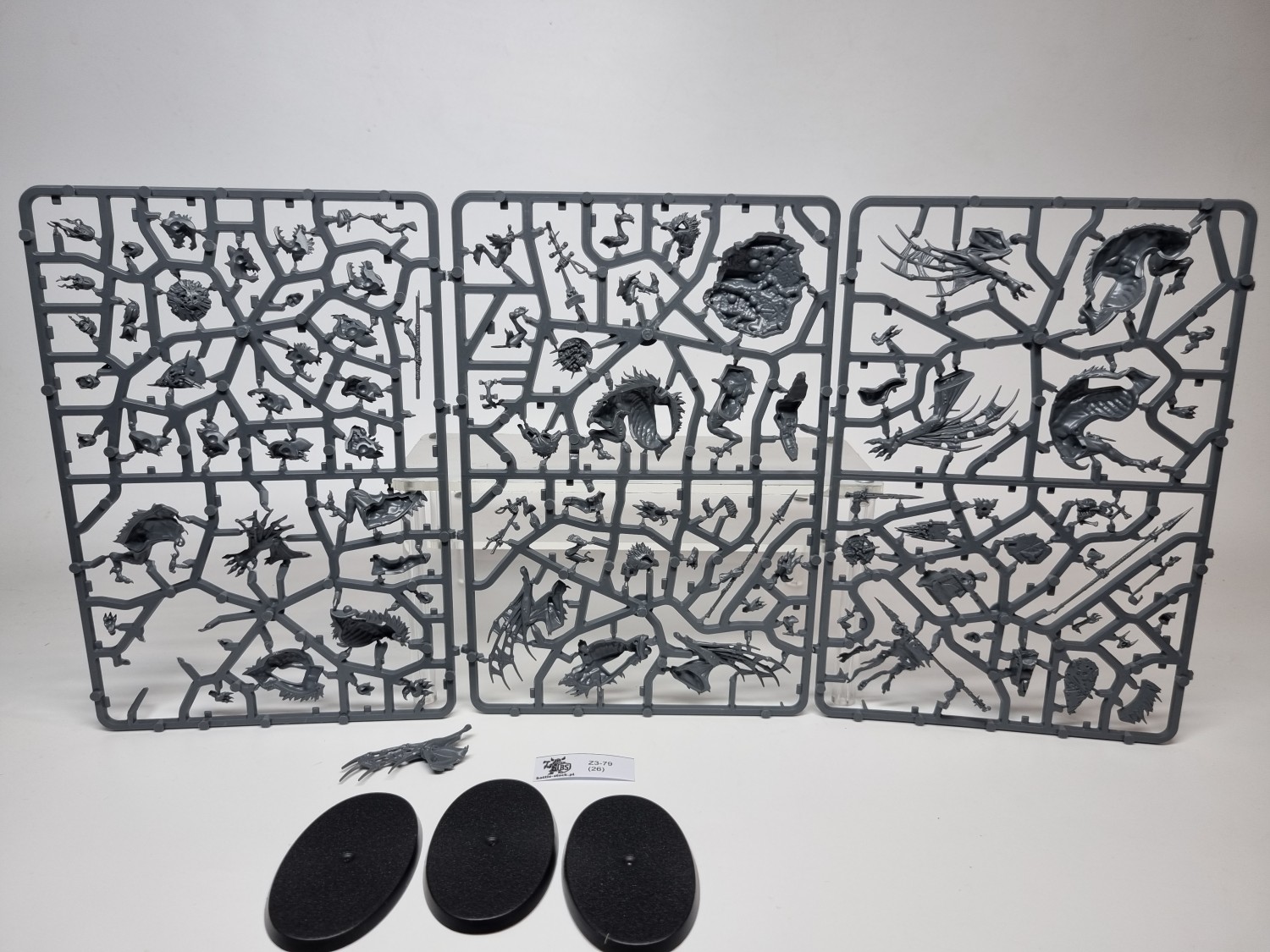 Morbheg knights