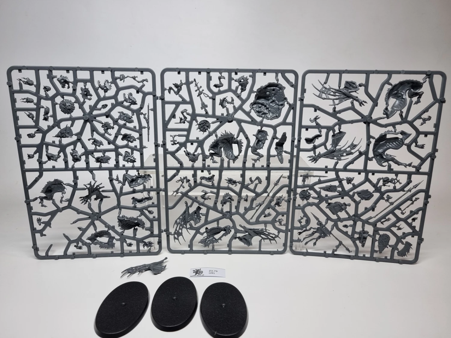 Morbheg knights