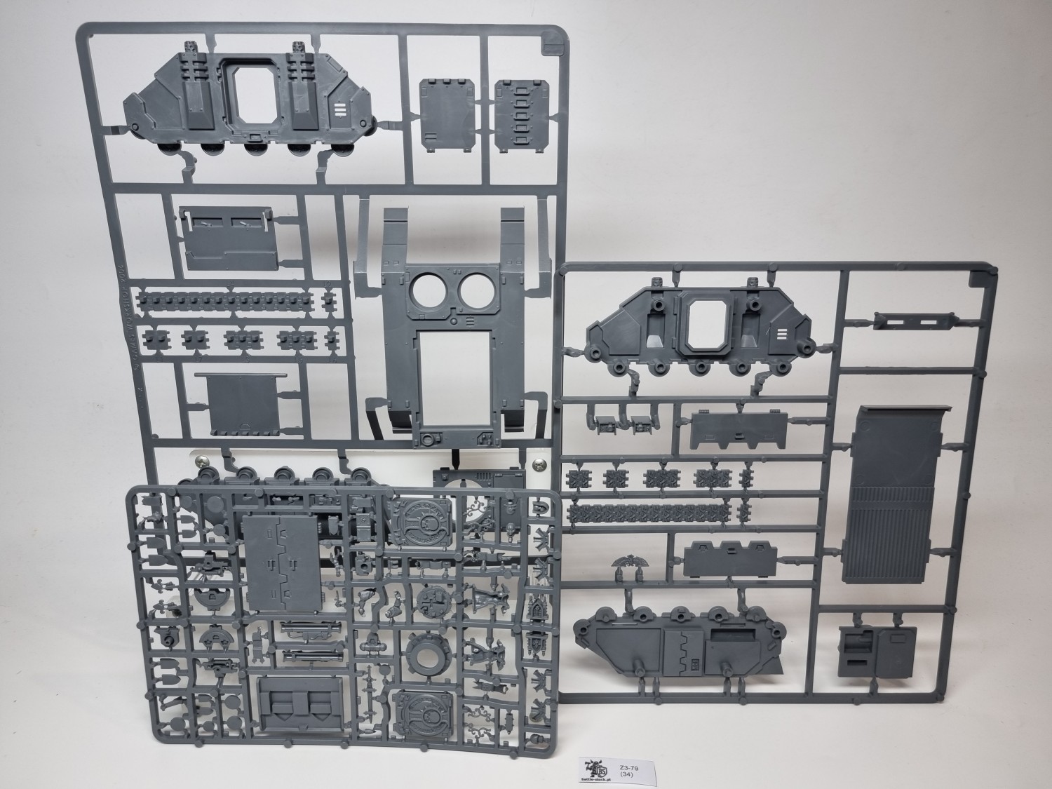 Sororitas rhino