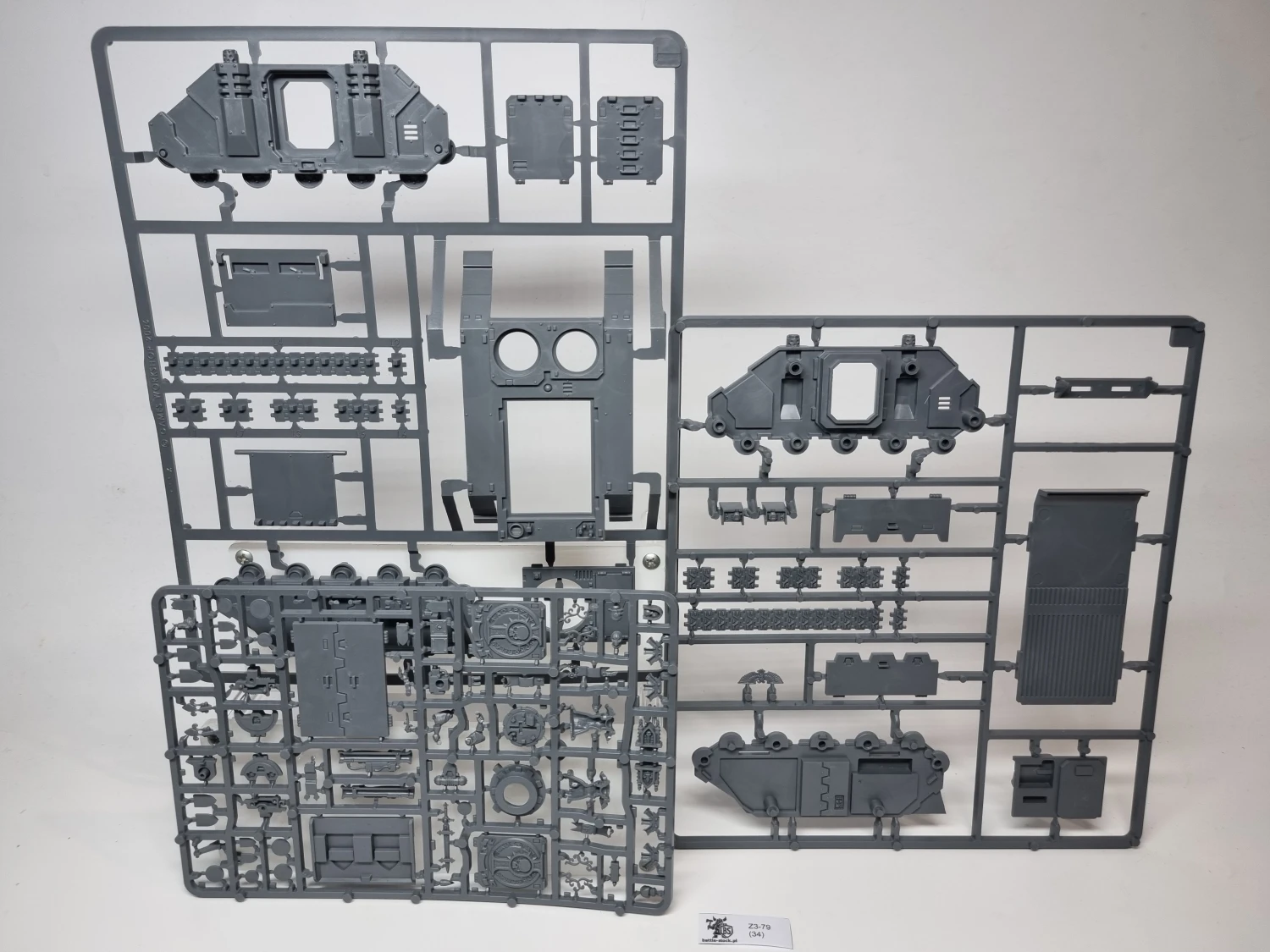 Sororitas rhino