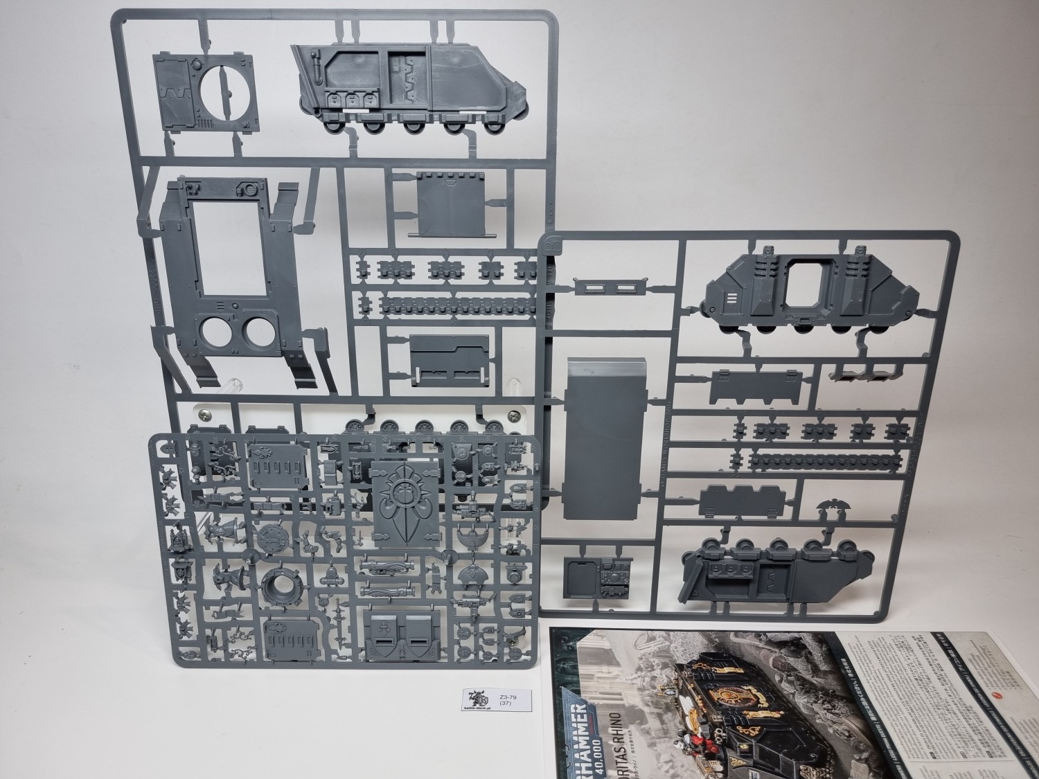 Sororitas rhino