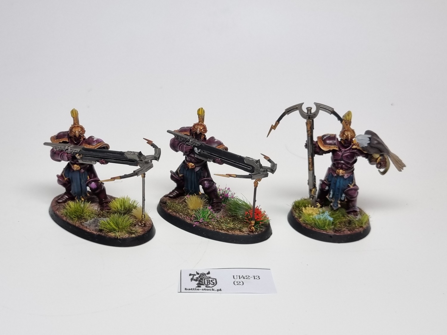 AoS Vanguard-Raptors