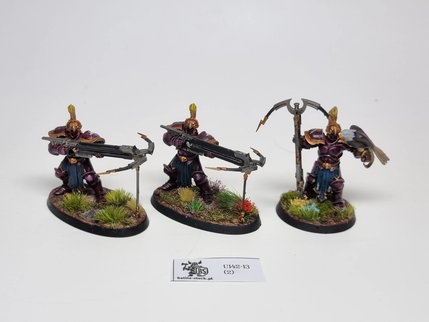 AoS Vanguard-Raptors