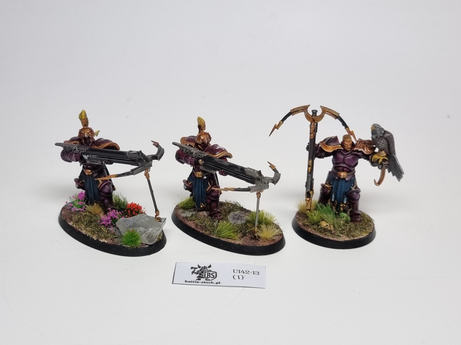 AoS Vanguard-Raptors