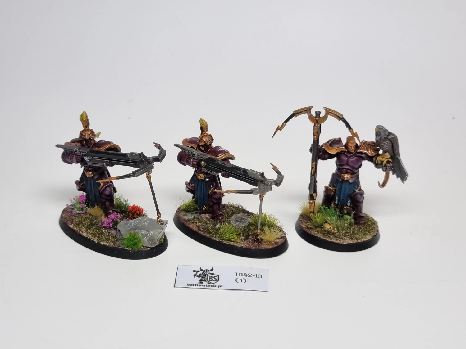 AoS Vanguard-Raptors