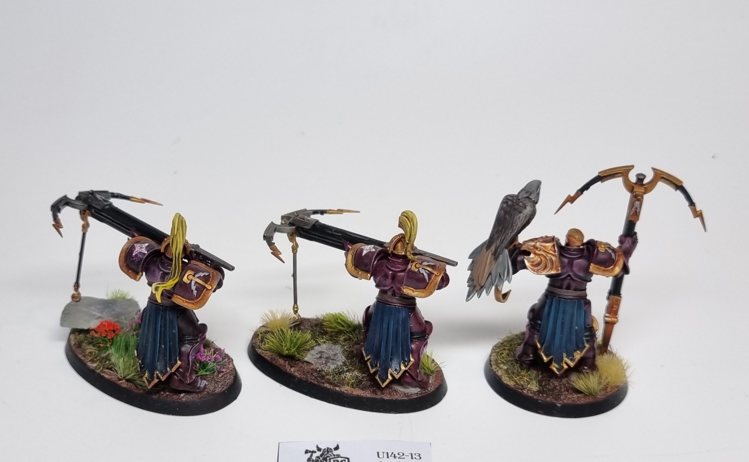 AoS Vanguard-Raptors