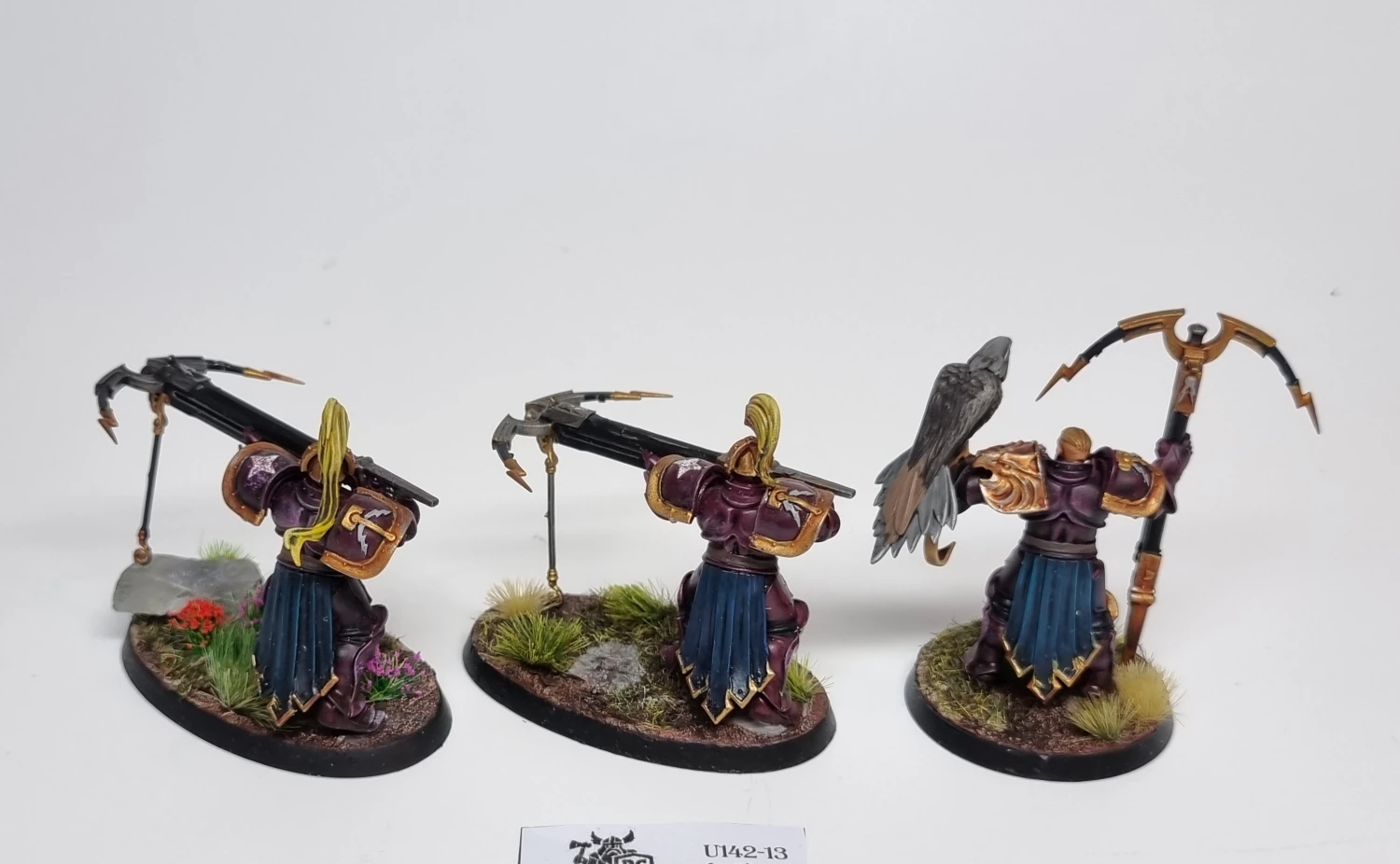 AoS Vanguard-Raptors