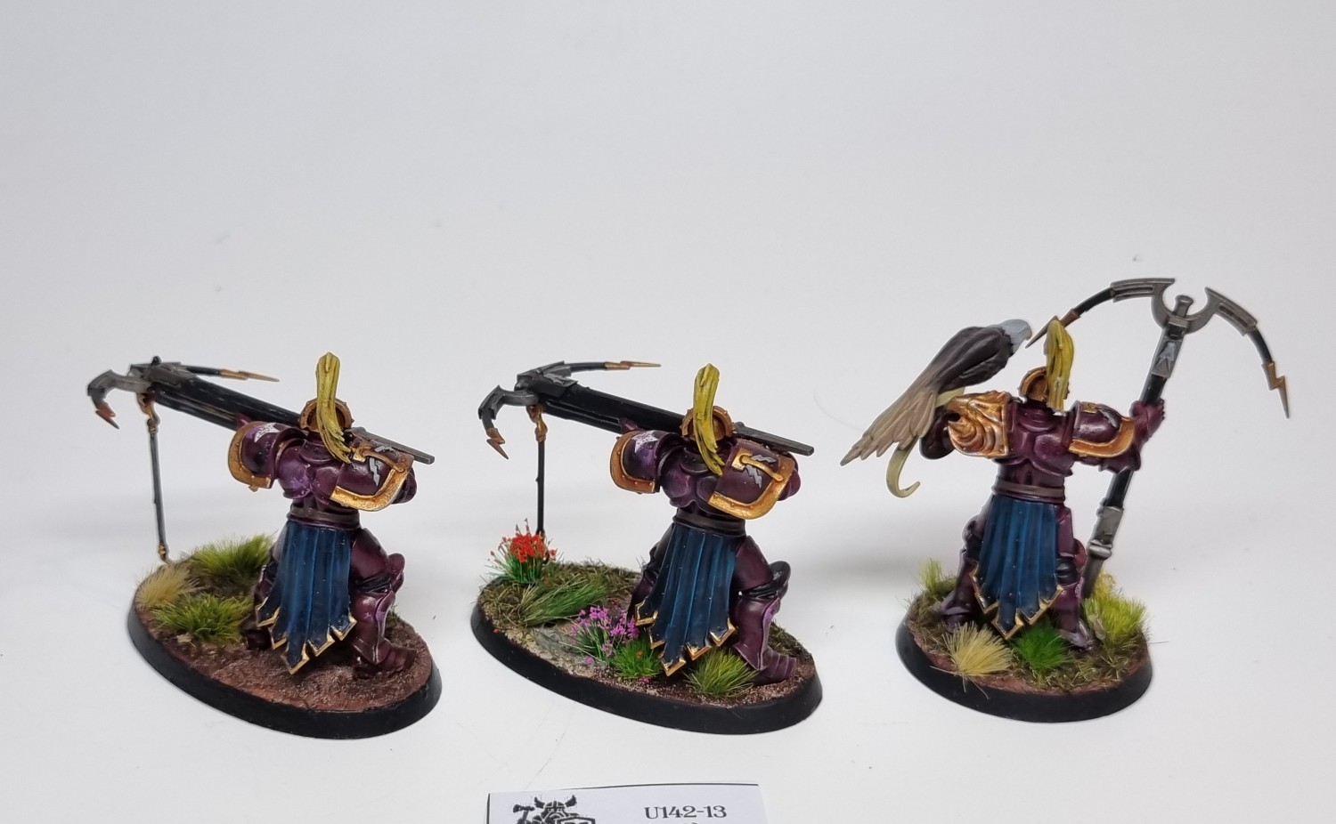 AoS Vanguard-Raptors