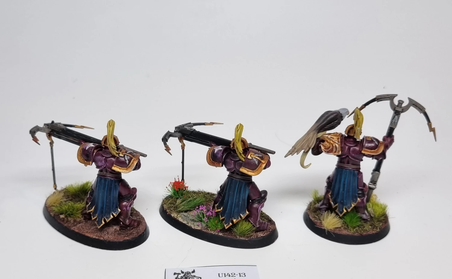 AoS Vanguard-Raptors
