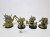 40k Blightlord Terminators &amp; Lord of Contagion zestaw
