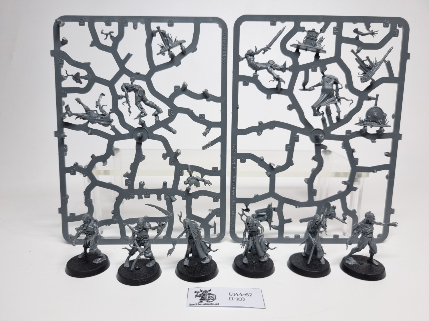 AoS Deadwalker Zombies (brak pojedynczych główek)