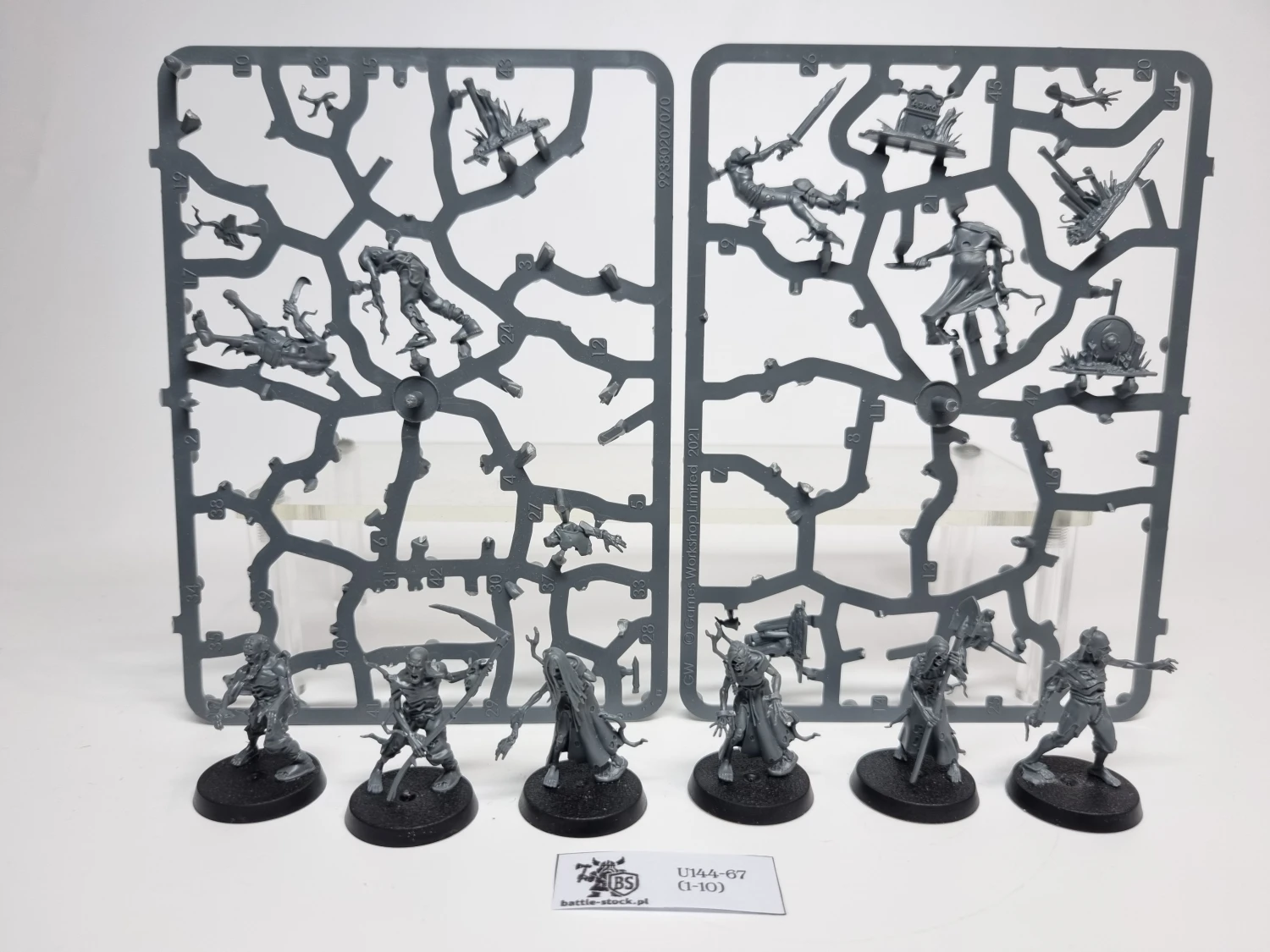 AoS Deadwalker Zombies (brak pojedynczych główek)