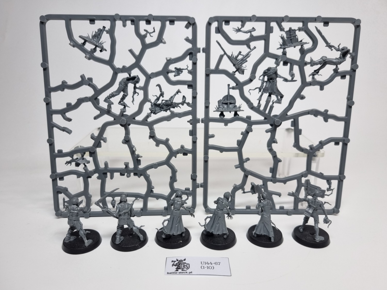 AoS Deadwalker Zombies (brak pojedynczych główek)